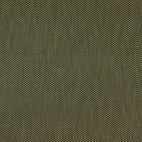 背面ストラップ：SGN_GREEN
