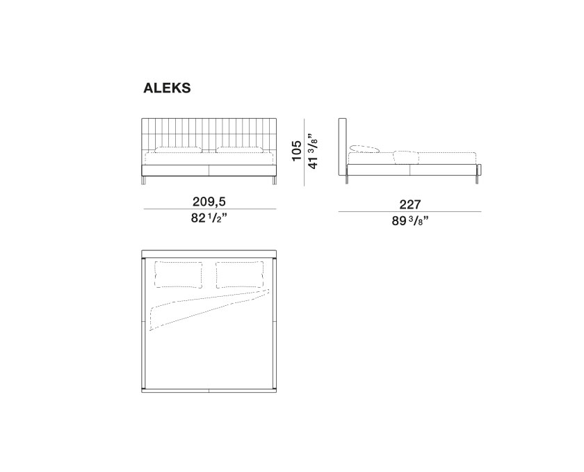 Anton - ALEKS