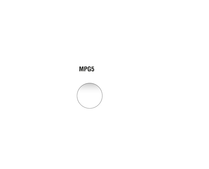 Mateo - MPG5