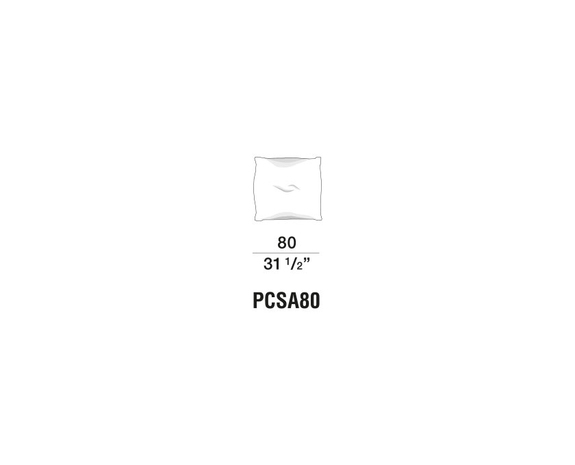 Paul - PCSA80