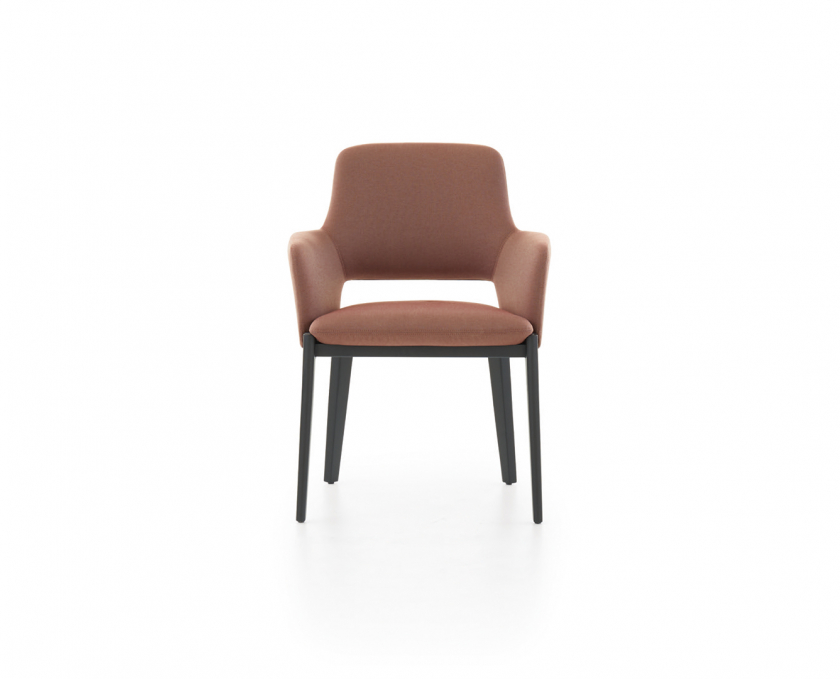 Devon - Chairs (室内) - Molteni
