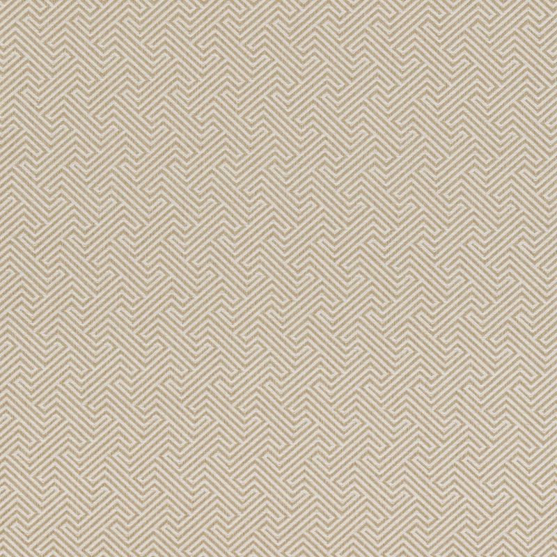 張地：生地-ELISIR_OE2021