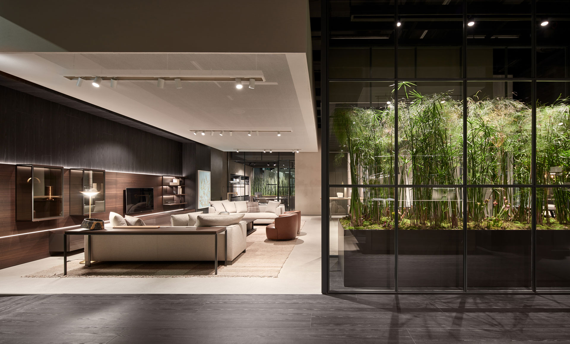 Imm Cologne